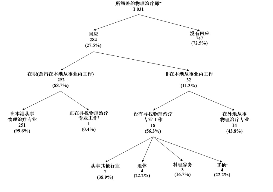 所涵盖物理治疗师的经济活动身分